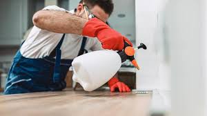 Real Estate Pest Inspections in Sanborn, IA